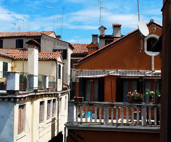 شقة Oasi 5503a البندقية